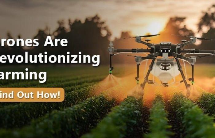 The Role of Drones in Sustainable Farming Practices | by Marut Drones | Dec, 2024