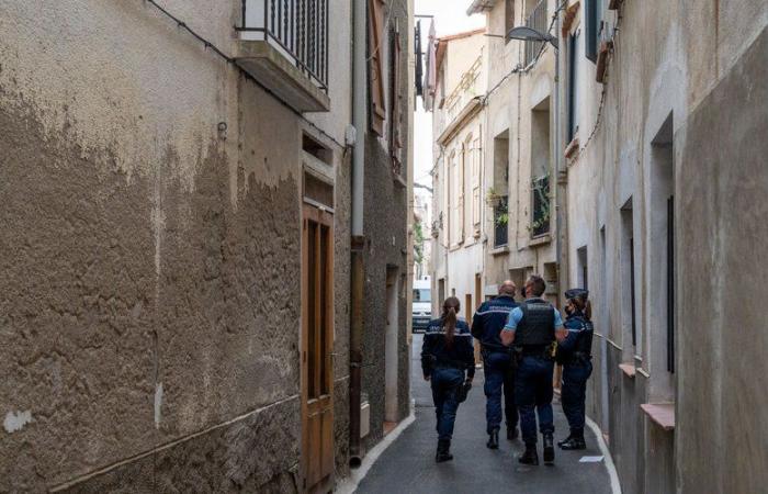 Tried in Perpignan for the murder of the man who hosted him: “Come quickly”, the unbearable agony of the victim on the phone