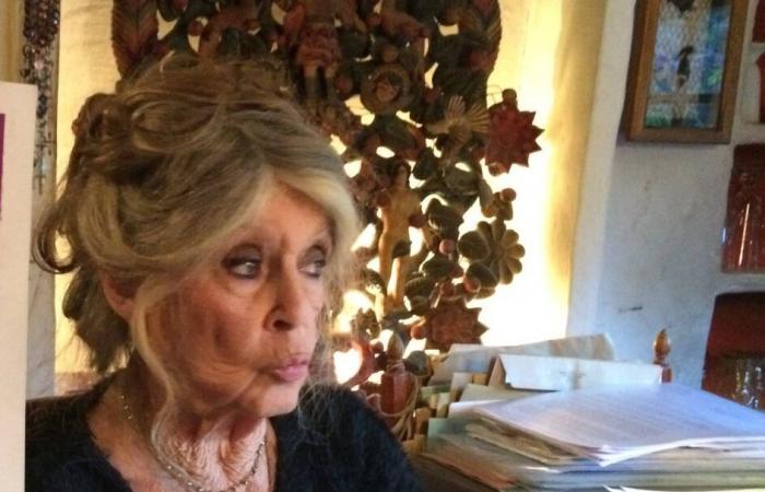 “I find it scandalous”: because of a major breakdown, Brigitte Bardot is cut off from the world in Saint-Tropez