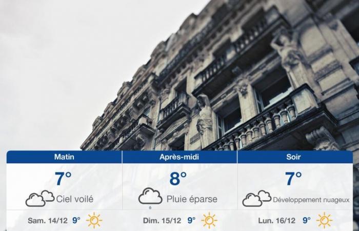 forecast for Friday December 13, 2024