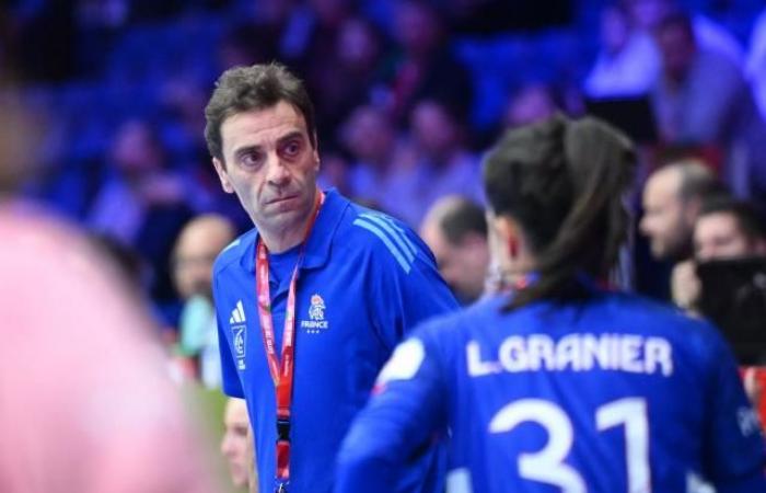 Sébastien Gardillou looks back on the unexpected elimination of Les Bleues (Euro)