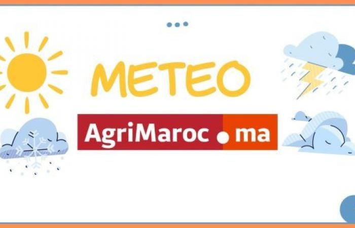 Weather forecast for Saturday December 14, 2024 – AgriMaroc.ma