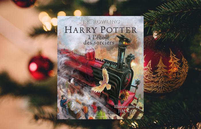 6 gift ideas for Harry Potter fans