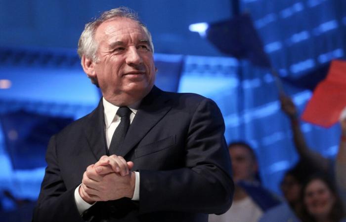 François Bayrou: horse breeder, Parisian apartment… the Prime Minister’s elephantine heritage