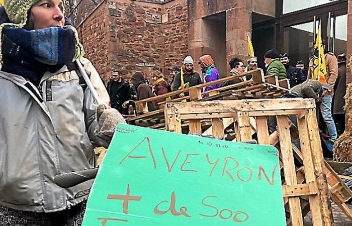 Anger of farmers: “It’s the death of very small farms”, launches the Peasant Confederation to the Aveyron departmental council