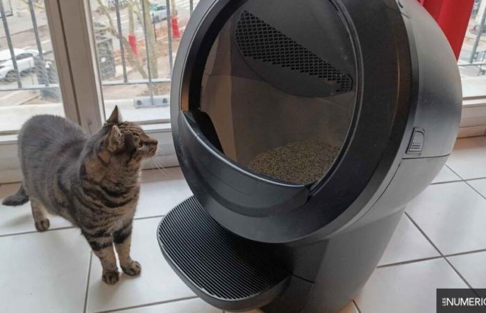 Whisker Litter-Robot 4 test: an effective connected litter box to forget about chores