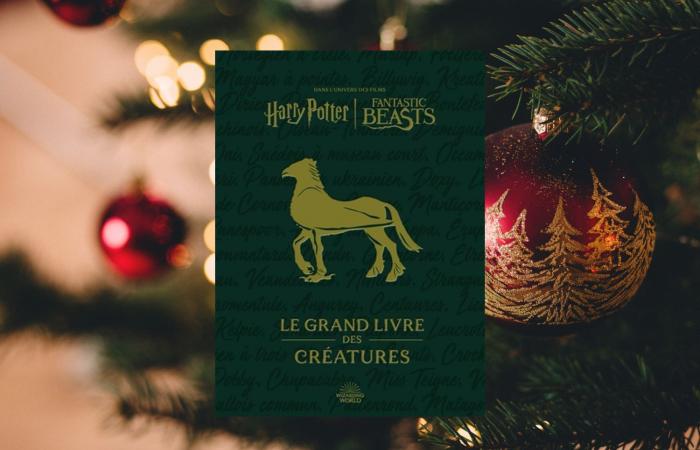 6 gift ideas for Harry Potter fans