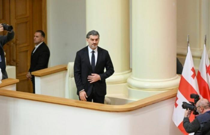 Georgia: a new loyalist president designated in the midst of a political crisis: News