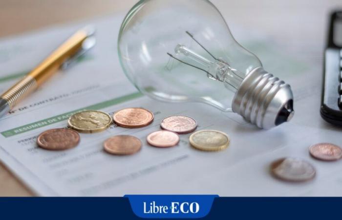 Reduction in the price of electricity for 250 large consumer companies