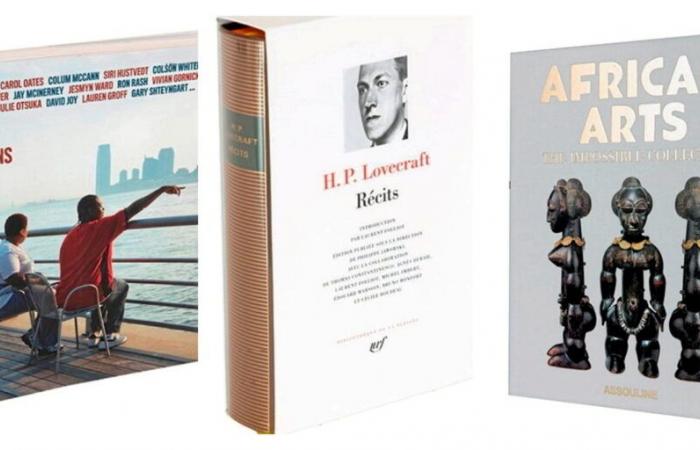 Cinema, art, literature… A selection of beautiful books to offer