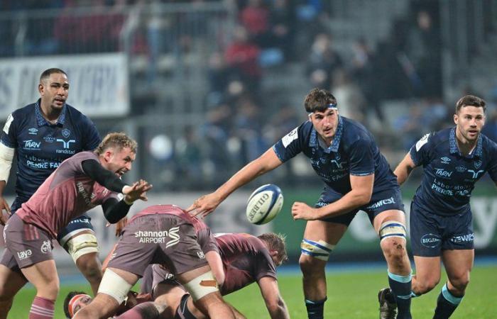 Champions Cup: “Always a guy to make up for it”, how Castres closed ranks against Munster