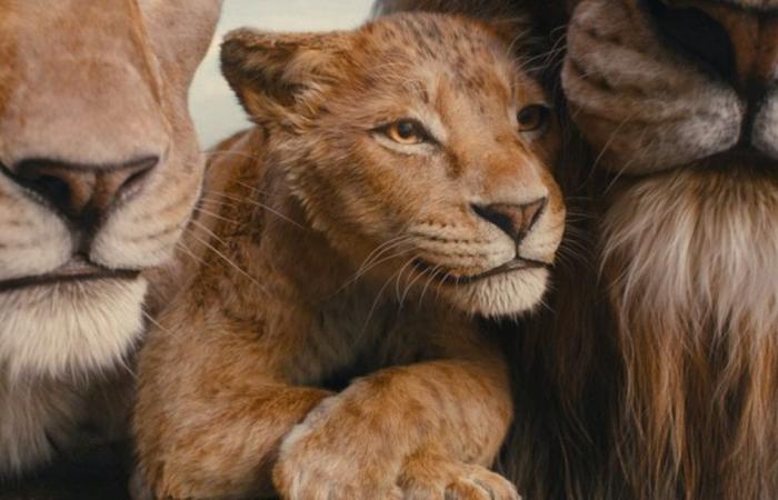 Behind the scenes of Mufasa: The Lion King, the last big cinematic event of the year: “No one is born nice, no one is born bad”