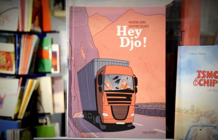 T. rex, chipolatas, prout and road trip: 10 children’s books from Brussels as beautiful as trucks, to offer to your children aged 3 to 15