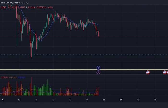 DOGE Price Could Crash at This Level!