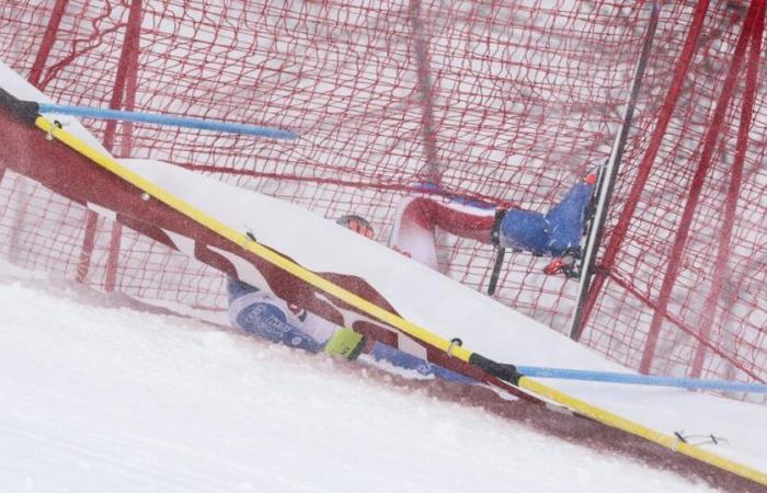 France Alpine Skiing World Cup | National