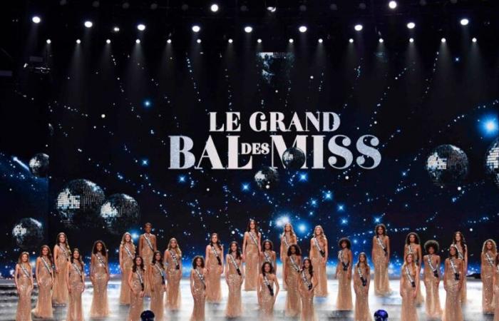 These hiccups from Miss Nord-Pas-de-Calais and other candidates went almost unnoticed on TF1