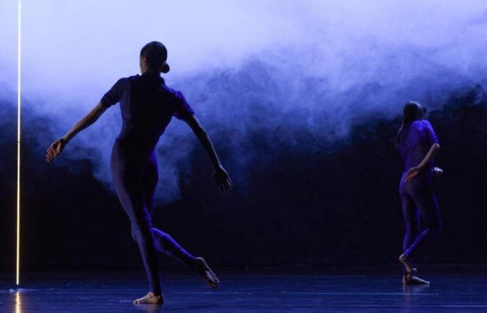 At the ADC Pavilion in Geneva, the miraculous beach of choreographer Cindy Van Acker and her dancers