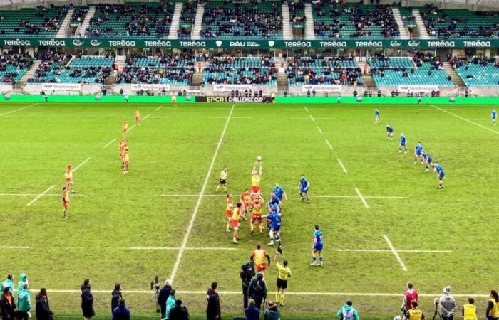 Rugby: the Challenge Cup match between the Lions and the Section Paloise suspended due to bad weather