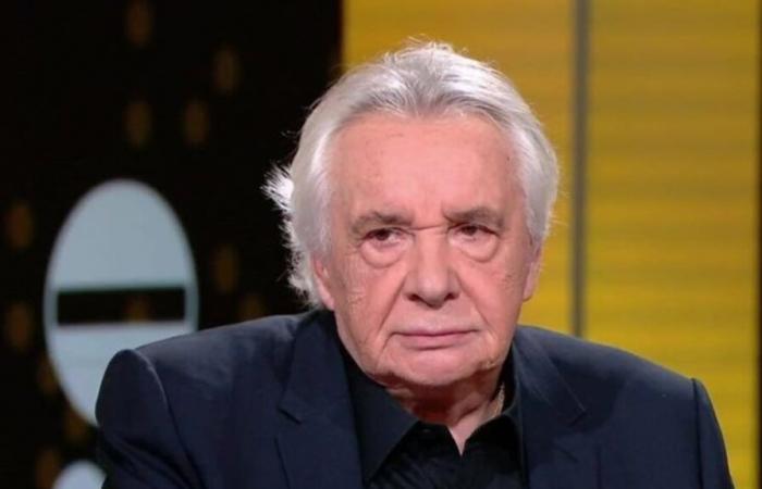 Michel Sardou violently attacks Emmanuel Macron, “Good for his face”