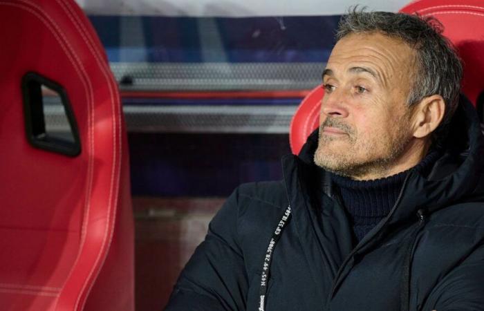 Ligue 1: with PSG, Luis Enrique is experiencing the “best” season of his career