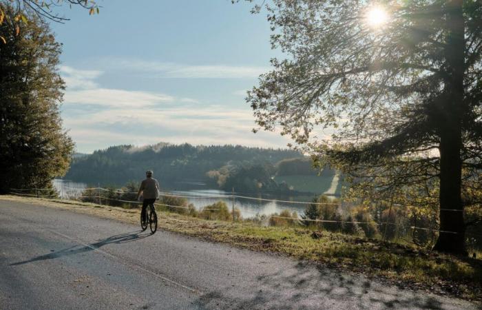 On the roads of Limousin, in the wheel of Raymond Poulidor