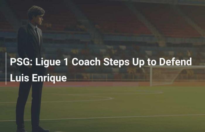 PSG: Ligue 1 coach defends Luis Enrique