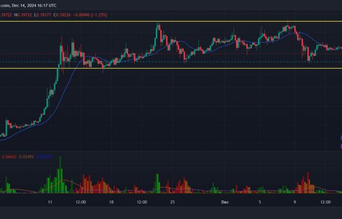 DOGE Price Could Crash at This Level!