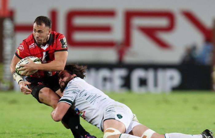 Challenge Cup – In the South African deluge, Pau ends up losing to the Lions