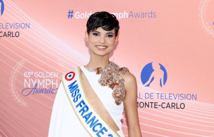 What is Miss France's salary really?