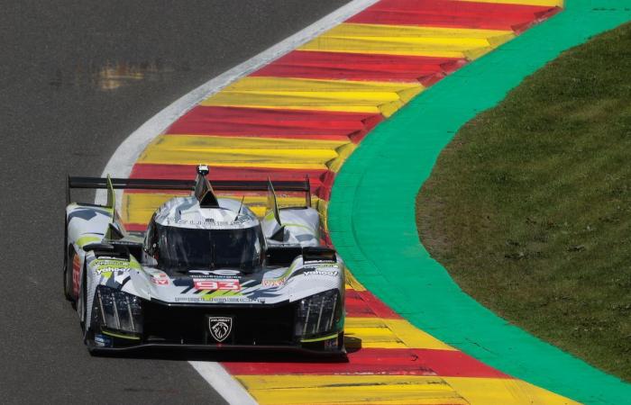 WEC – The “stats” of the 2024 season