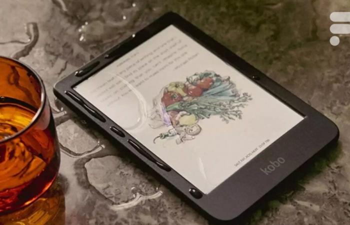 Fnac lowers the price of the best e-readers to give at Christmas