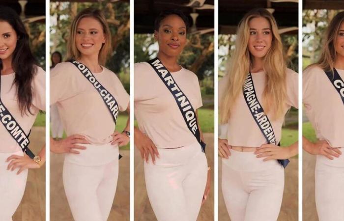 Martinique, Corsica, Limousin… Why do certain regions never (or almost never) win at Miss France?