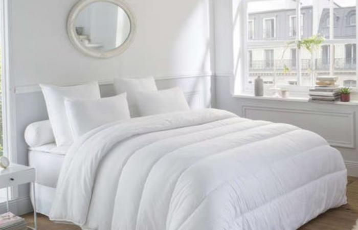 This warm and comfortable Dodo duvet is half price at Conforama