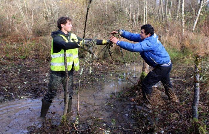 Capvern. This wetland resurfaces after ten years of work