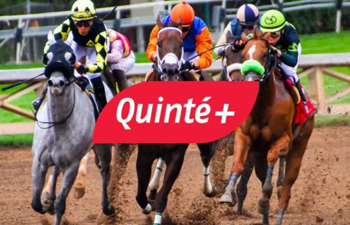 Quinté+ prediction for Sunday December 15 at Vincennes: Jean Dumouch Prize