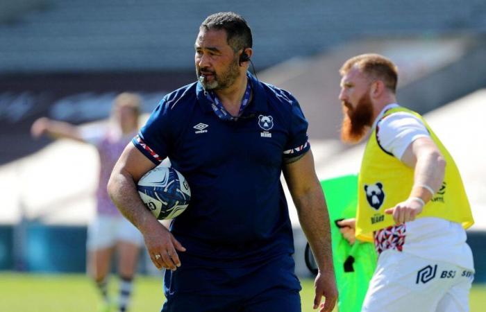 the Bristol Bears intend to play a nasty trick on the Maritimes