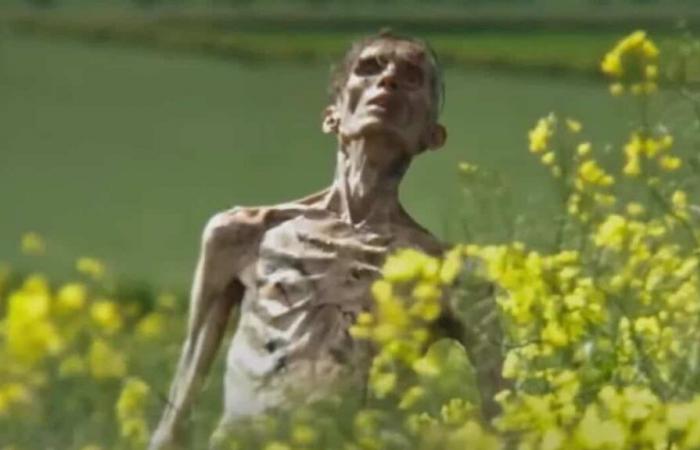 “28 Years Later”: the mysterious zombie in the trailer would not be Cillian Murphy