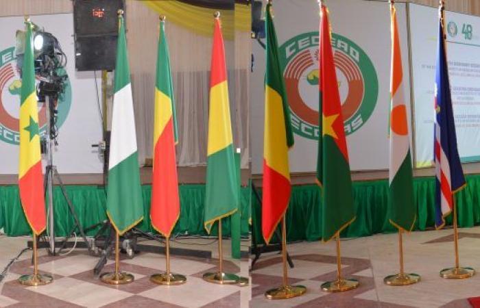 Guinea “uninvited” but… – Africa Guinee