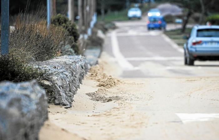 With the passage of Darragh, the dunes of the Golden Sands moved [En images]