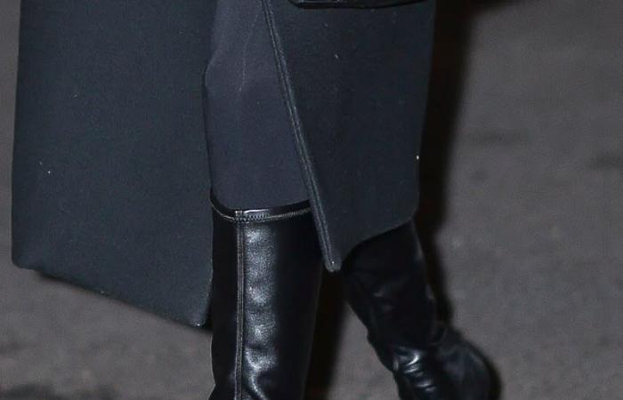 Bella Hadid Dons Pointy Femme LA Boots for Sleek Monochromatic Winter Look in NYC