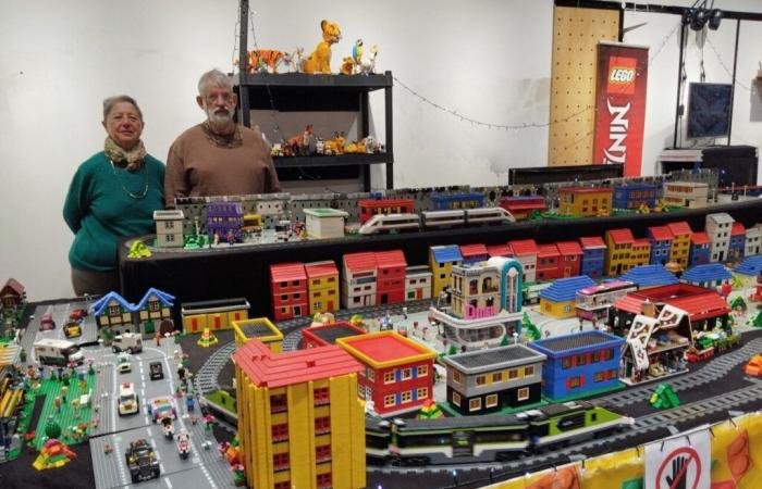 This Lego® enthusiast presents a major exhibition of his works at the Ruban Bleu in Saint-Nazaire