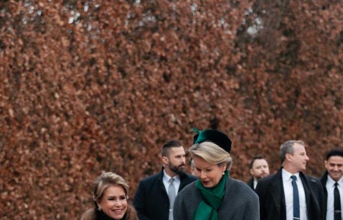 The Belgian royal couple and the grand ducal couple throw nuts in Bastogne for the 80th anniversary of the Battle of the Bulge