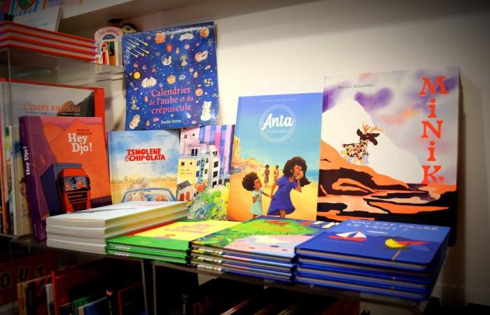 T. rex, chipolatas, prout and road trip: 10 children’s books from Brussels as beautiful as trucks, to offer to your children aged 3 to 15