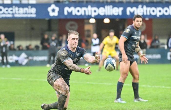 MHR – Ospreys: the Challenge, a useful competition for Montpellier? “Yes”, promises Joan Caudullo