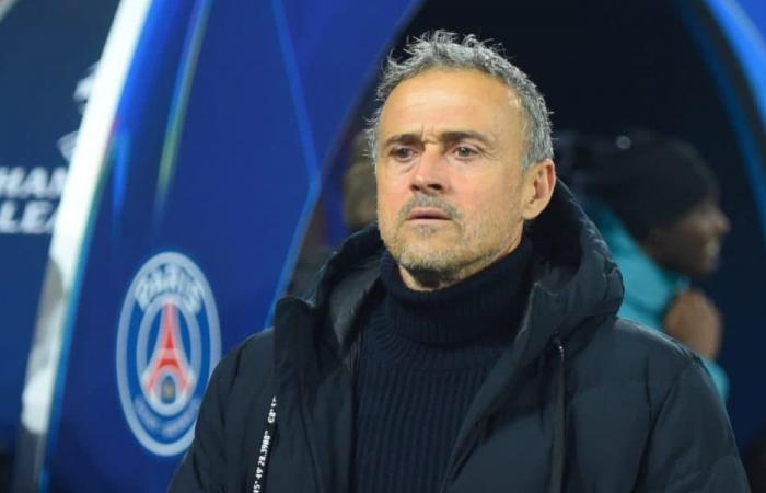 PSG – OL: Luis Enrique throws flowers at Lyon and responds to the Cherki rumor