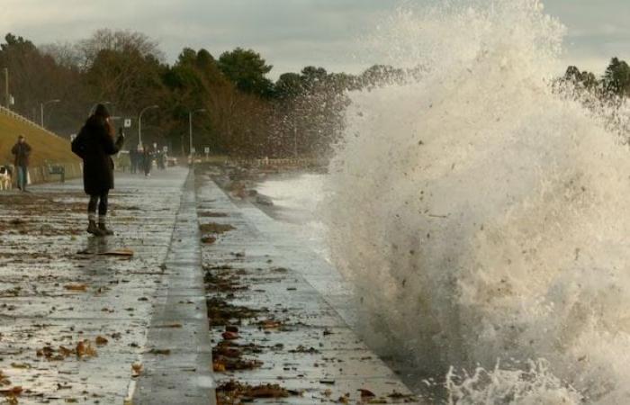 Bad weather causes power outages and ferry cancellations