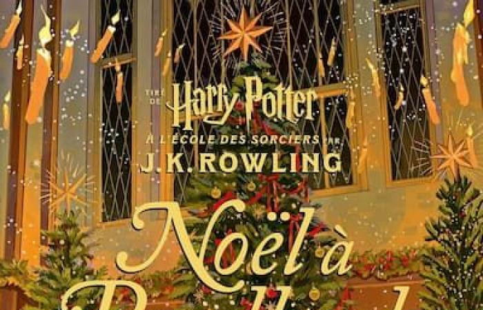 Here is a selection of Christmas books that young people will love!