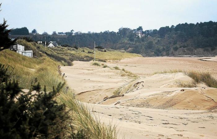 With the passage of Darragh, the dunes of the Golden Sands moved [En images]