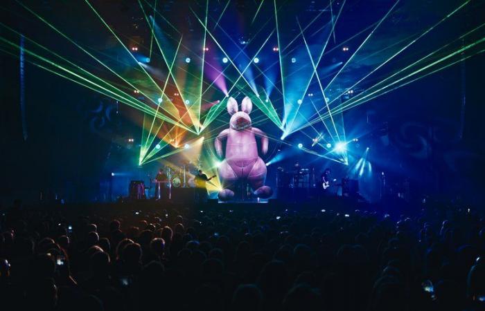 “We prepare for this role by having listened to all the songs since we were little”: the Pink Floyd Australian Show guitarist talks about the 2025 show