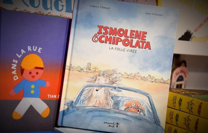 T. rex, chipolatas, prout and road trip: 10 children’s books from Brussels as beautiful as trucks, to offer to your children aged 3 to 15